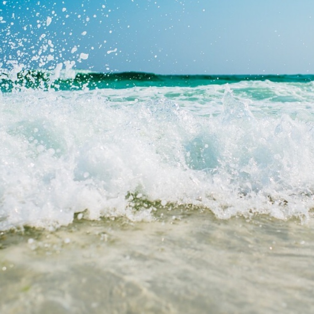 Meet your Posher, Ciara